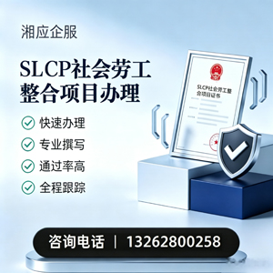台州SLCP社会劳工整合项目申报服务