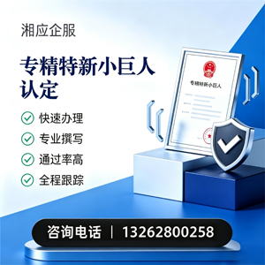 台州专精特新小巨人申报服务