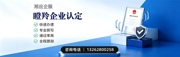 台州瞪羚企业认定申报服务