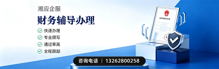台州财务辅导申请服务
