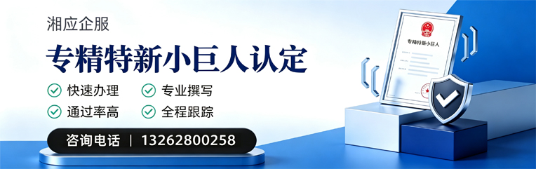 台州专精特新小巨人申报服务